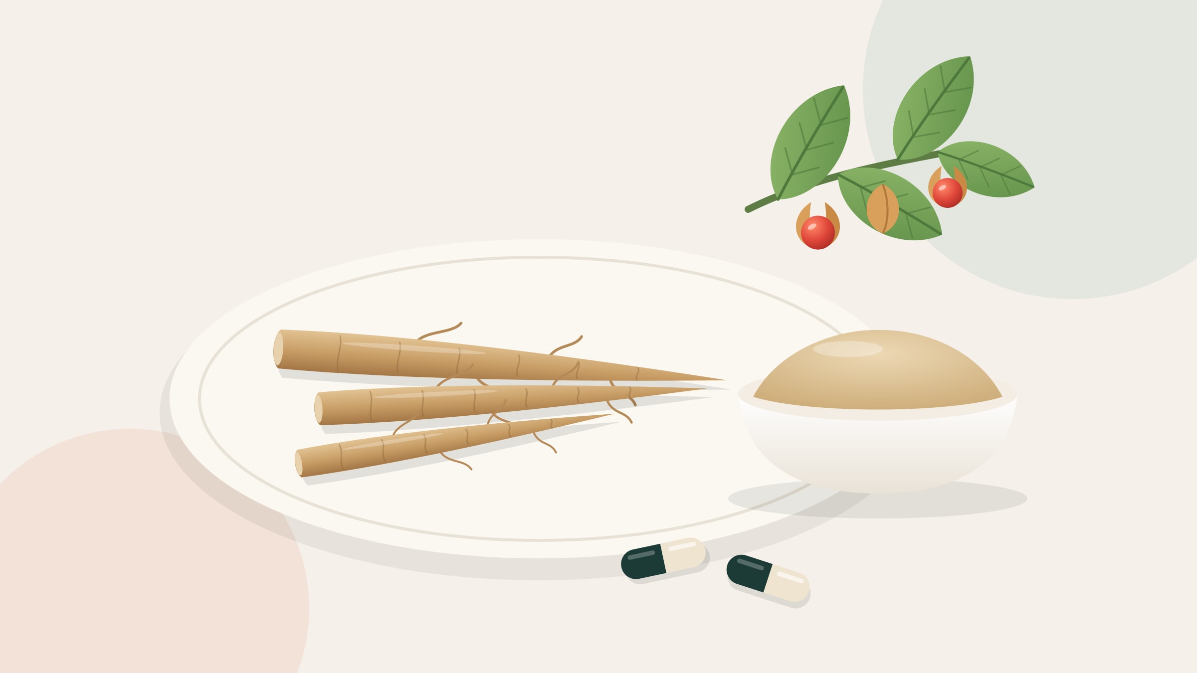 Illustration of dried ashwagandha roots on a cream plate beside a bowl of root powder and two capsules, with a sprig of green leaves and red berries in papery husks.