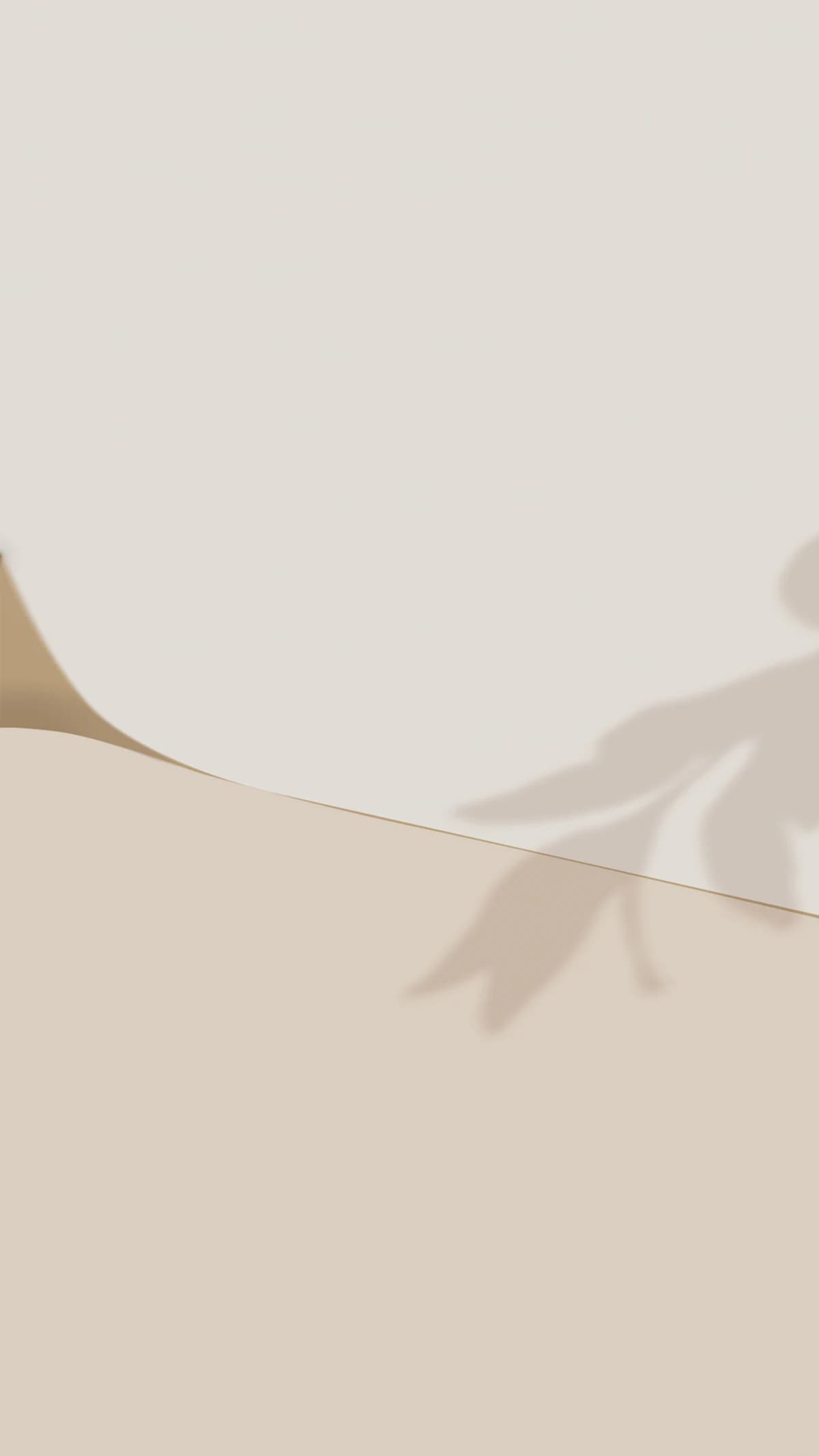Soft daylight casting a leaf shadow across a warm plaster wall